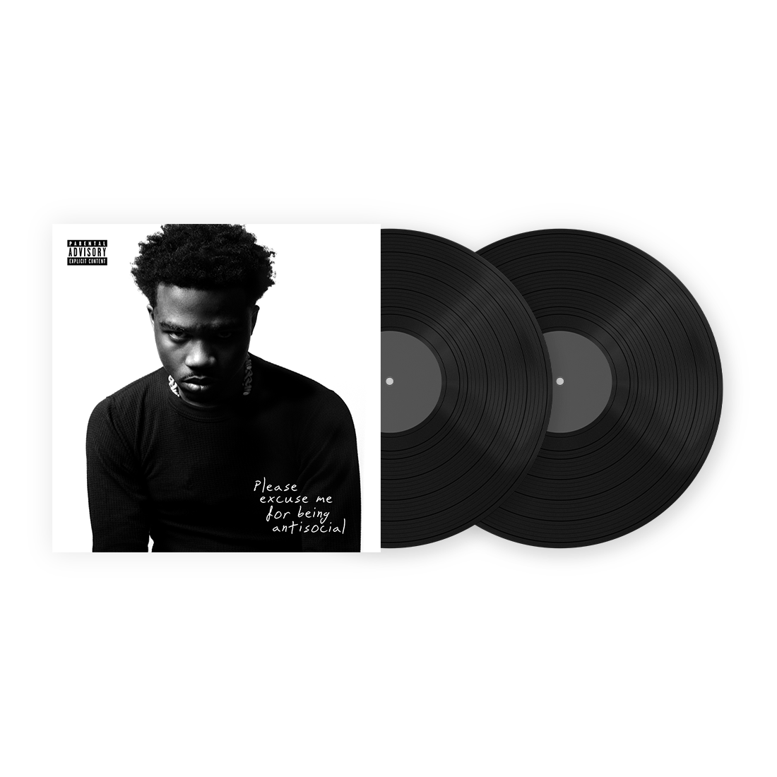Please Excuse Me For Being Antisocial (2LP Vinyl)